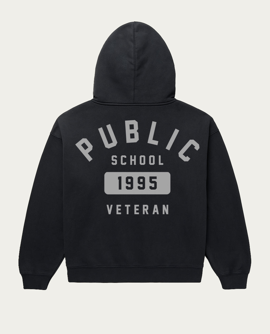 Public School Veteran Establish Hoodie