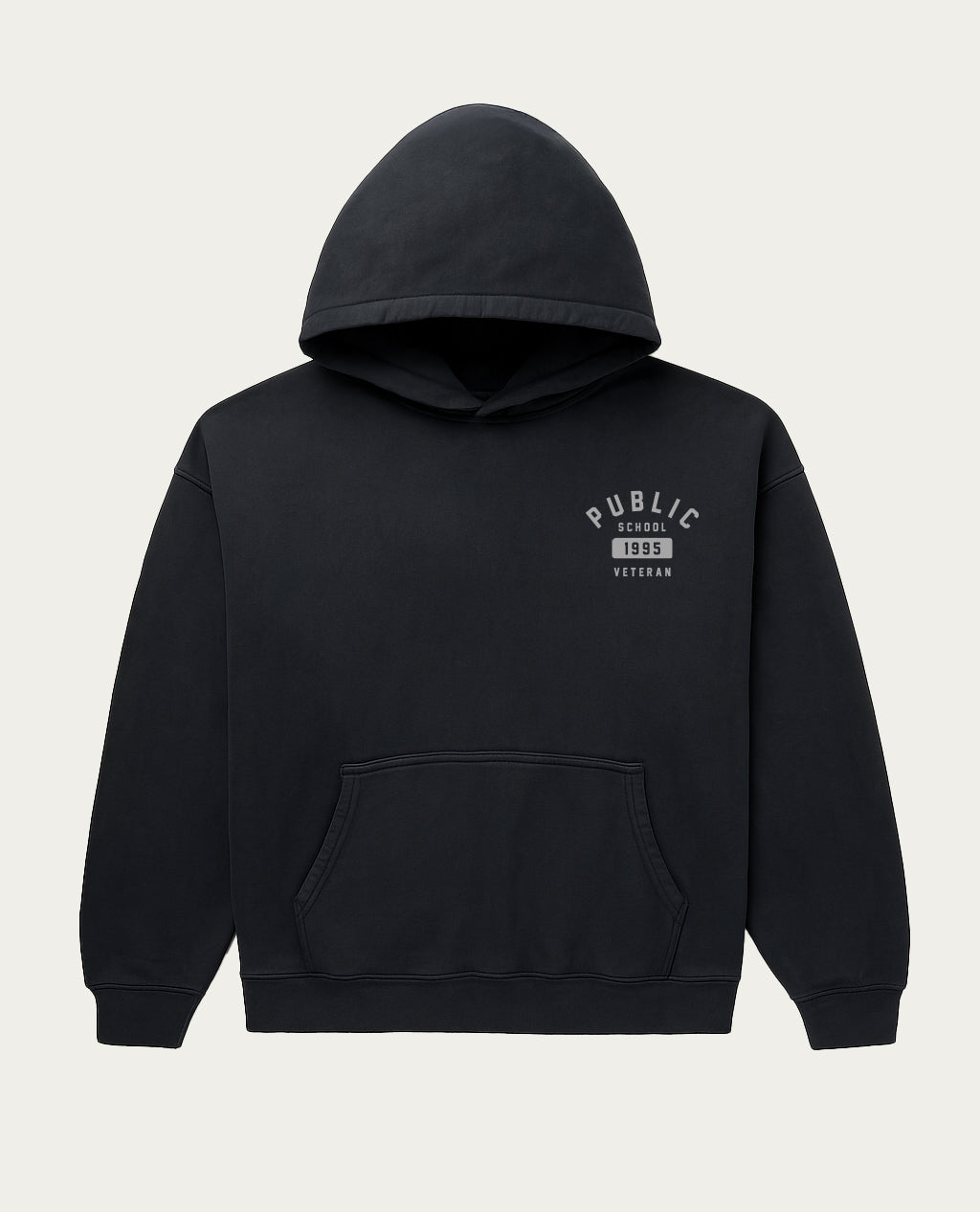 Public School Veteran Establish Hoodie
