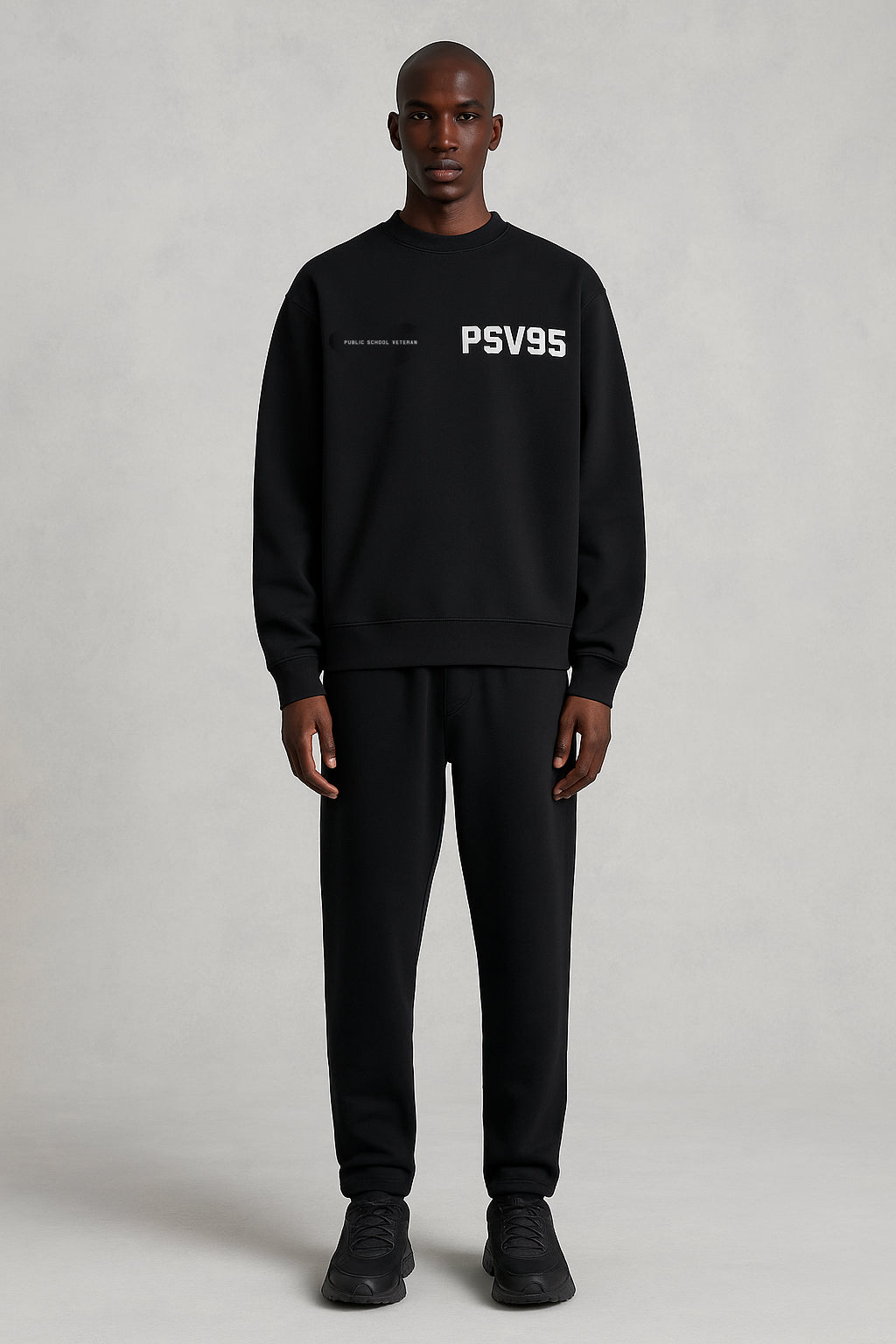 Public School Veteran PSV95 t-shirt