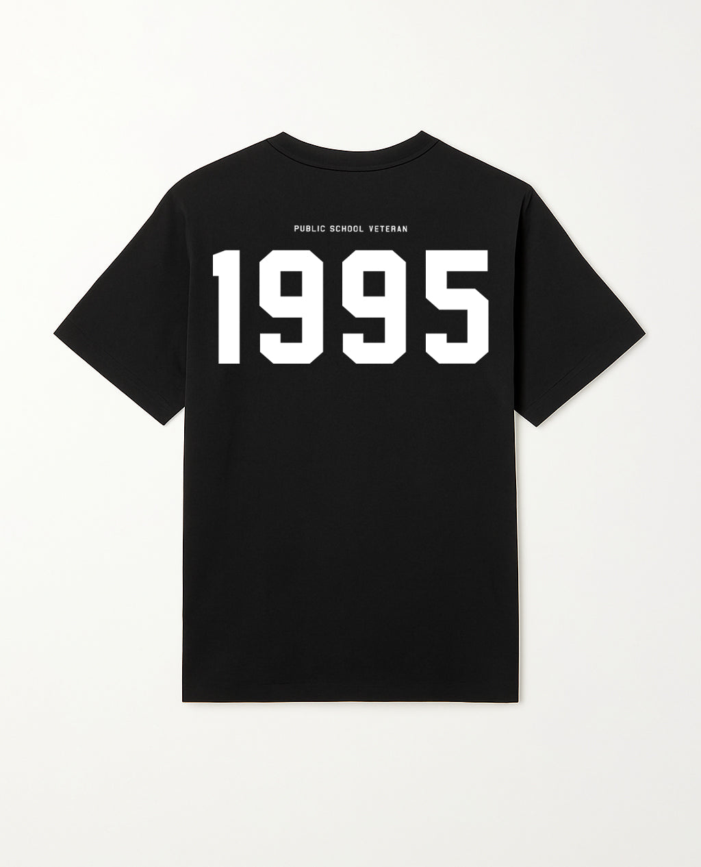 Public School Veteran PSV95 t-shirt